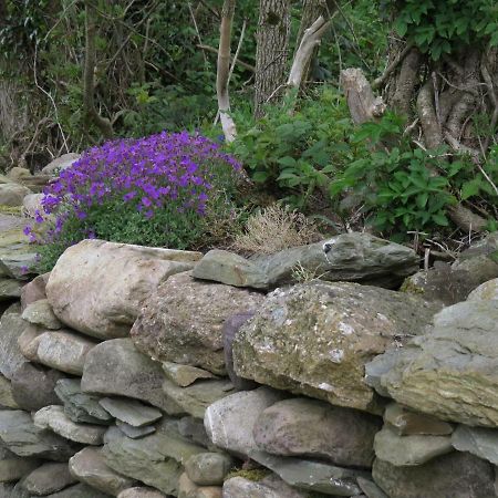 The Old House Villa Carrick-on-Suir Luaran gambar