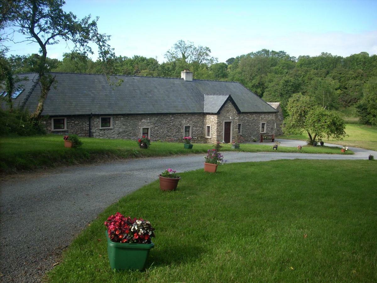 The Old House Villa Carrick-on-Suir Luaran gambar