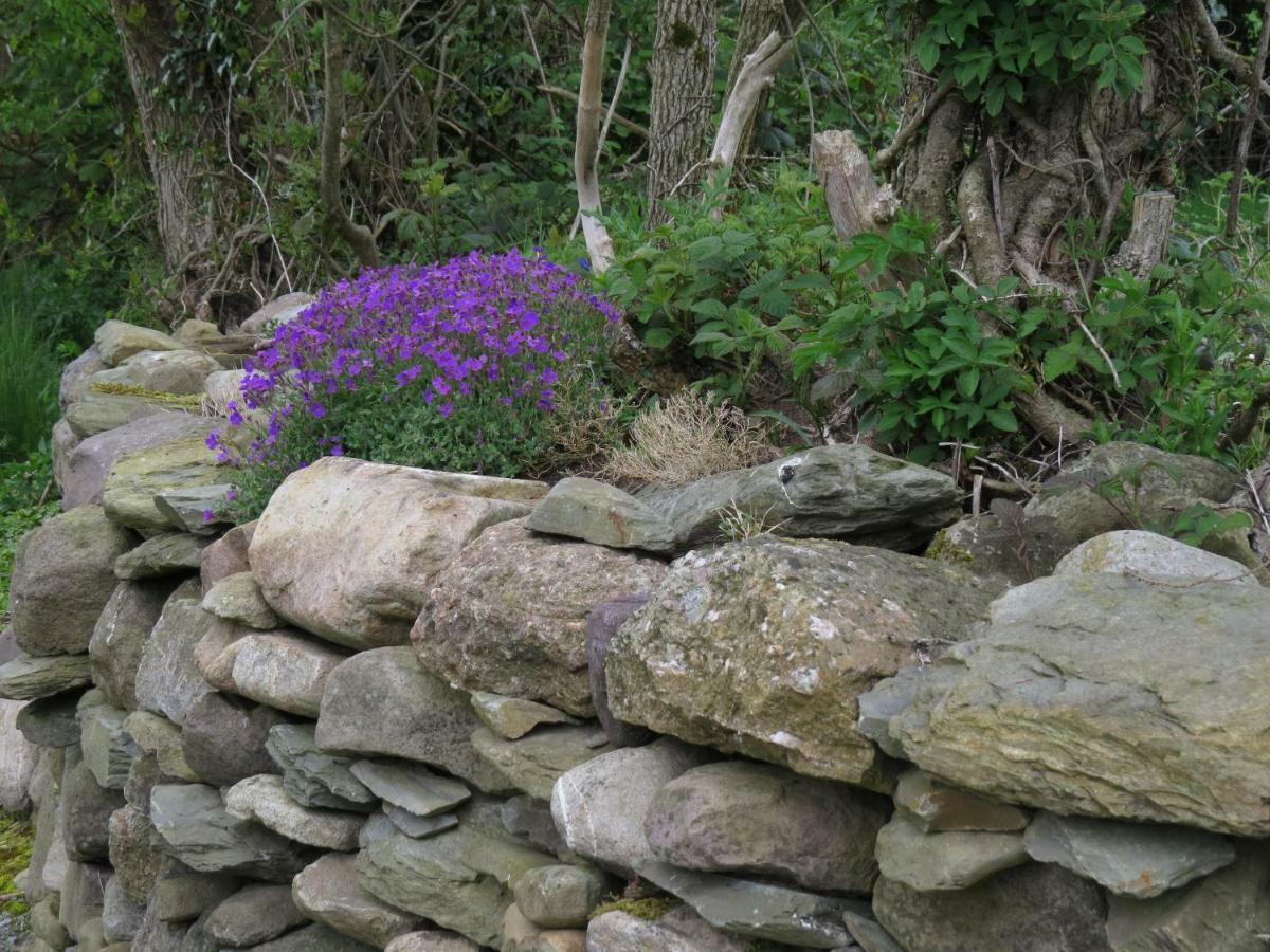 The Old House Villa Carrick-on-Suir Luaran gambar