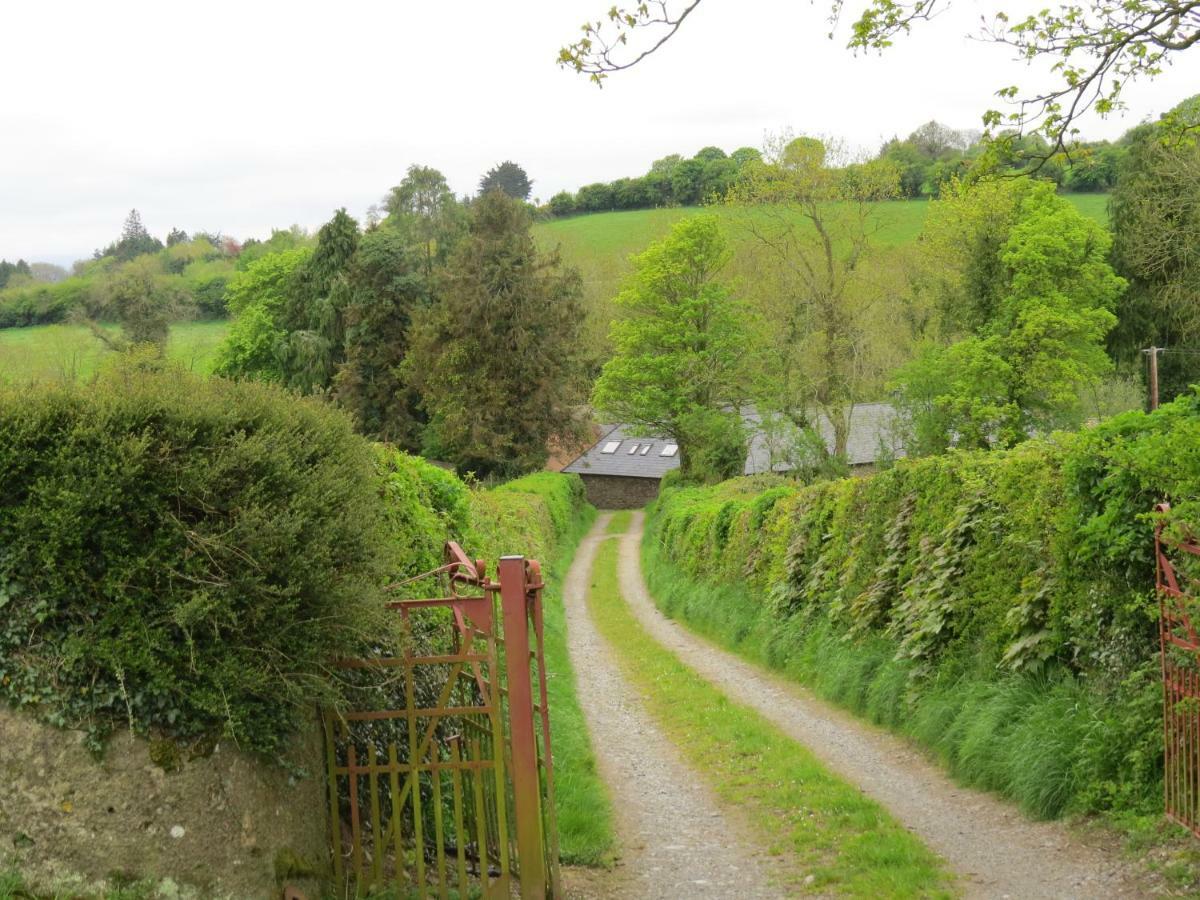 The Old House Villa Carrick-on-Suir Luaran gambar