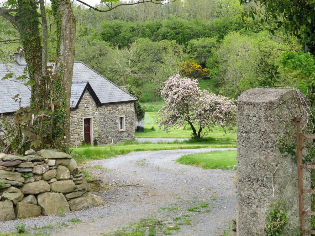 The Old House Villa Carrick-on-Suir Luaran gambar